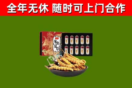 武乡县烟酒回收冬虫夏草礼盒.jpg